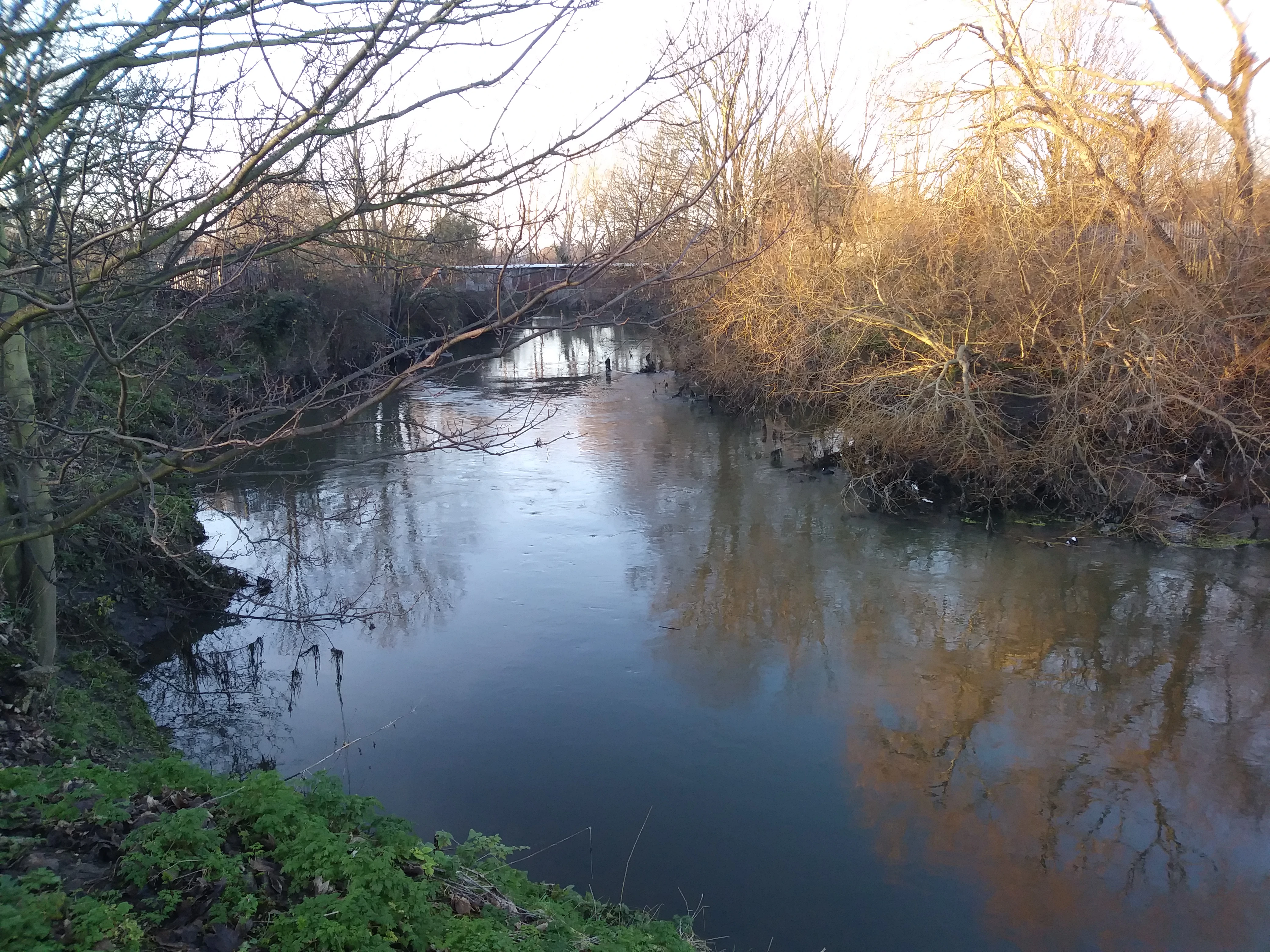 Image used in canvas element