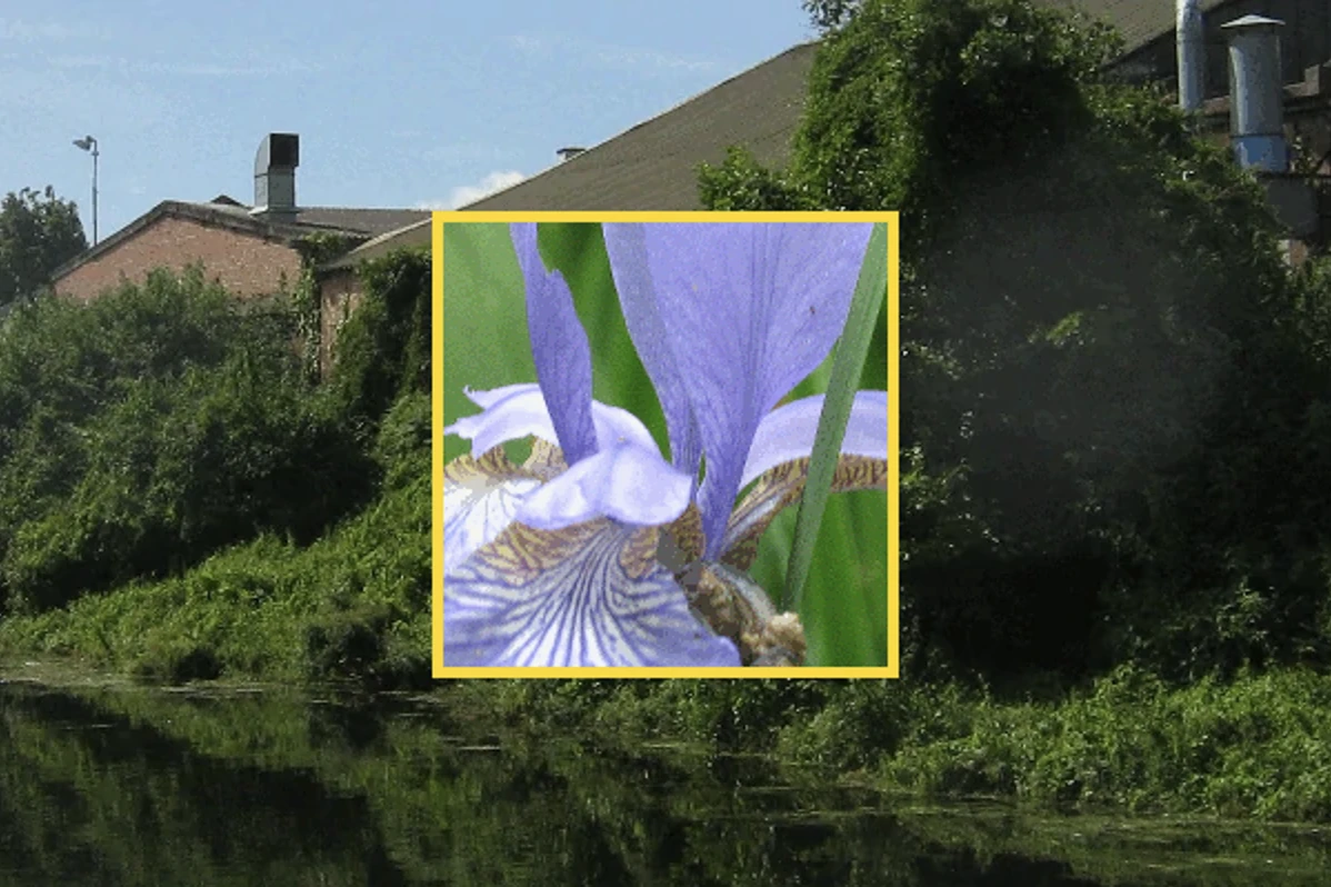 Screen capture image of the demo canvas