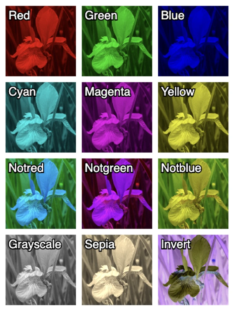 Screen capture image of the demo canvas