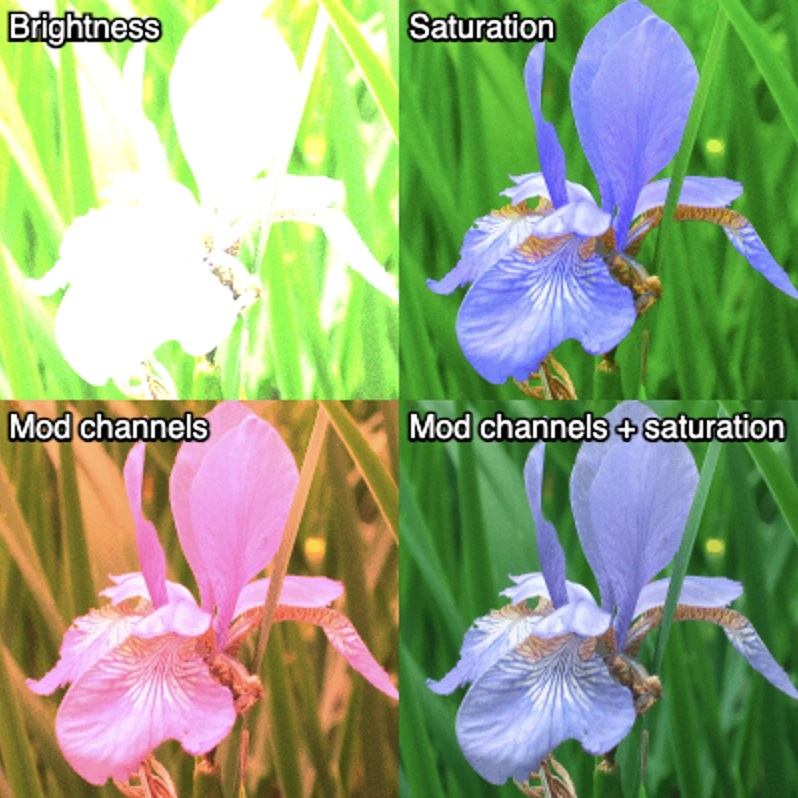 Screen capture image of the demo canvas