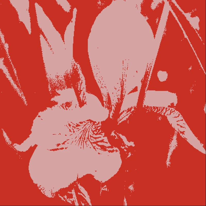 Screen capture image of the demo canvas