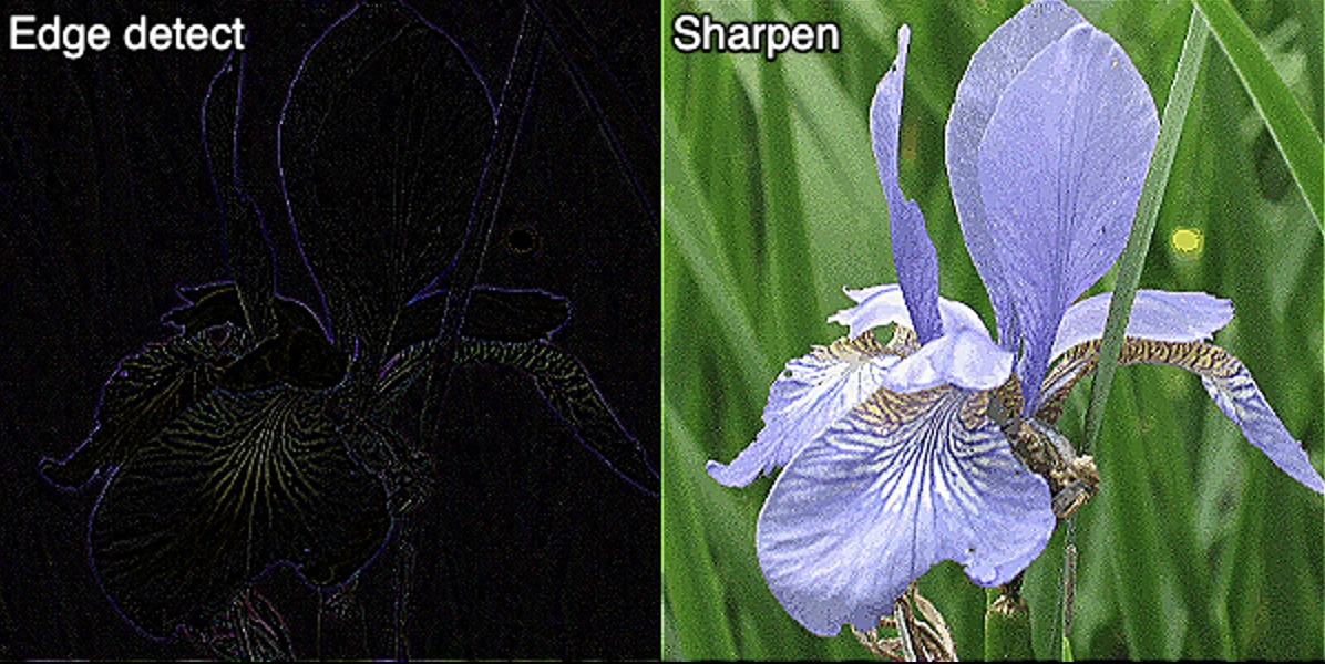 Screen capture image of the demo canvas