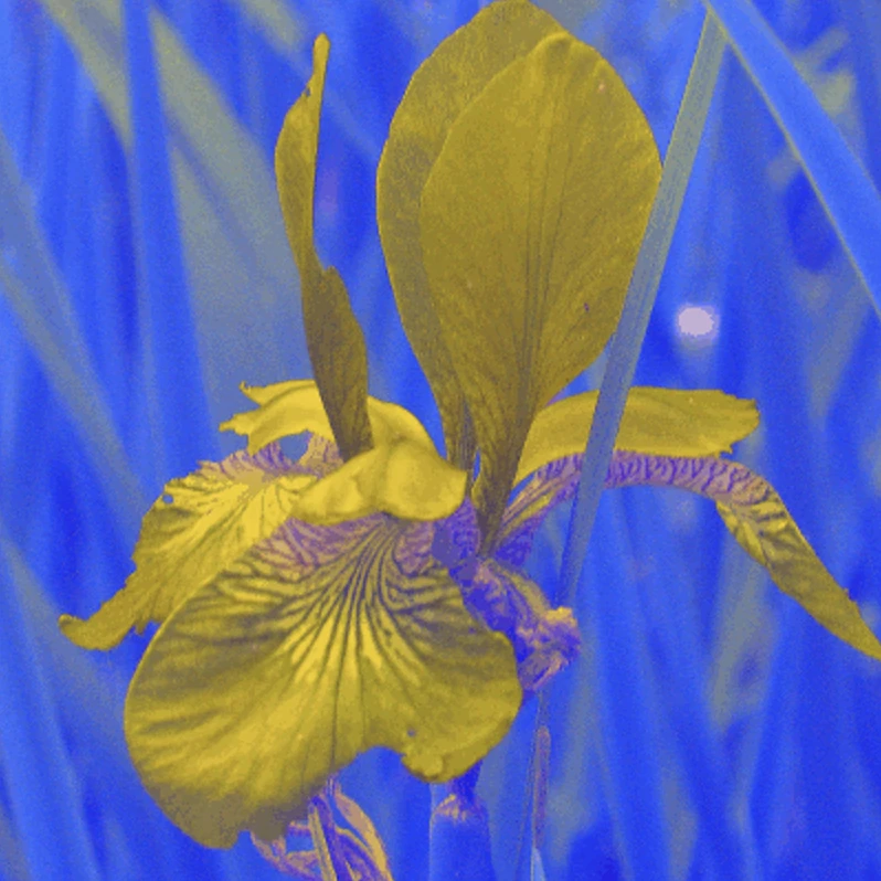 Screen capture image of the demo canvas