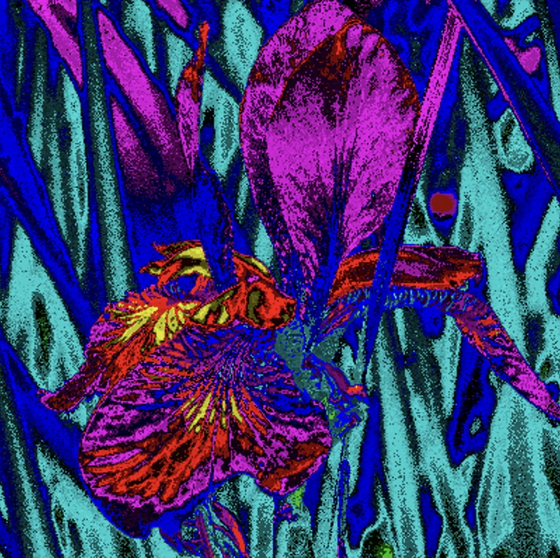 Screen capture image of the demo canvas