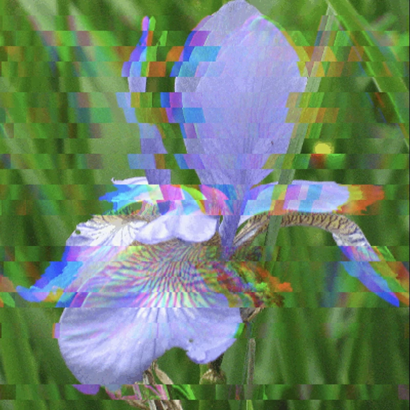 Screen capture image of the demo canvas