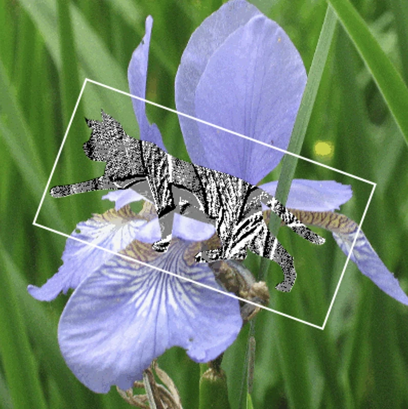 Screen capture image of the demo canvas