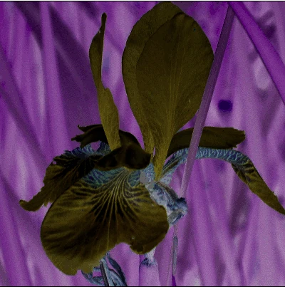 Screen capture image of the demo canvas