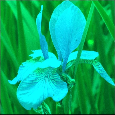 Screen capture image of the demo canvas