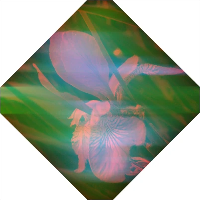 Screen capture image of the demo canvas