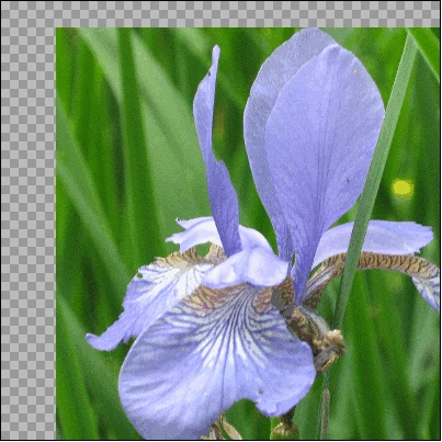 Screen capture image of the demo canvas