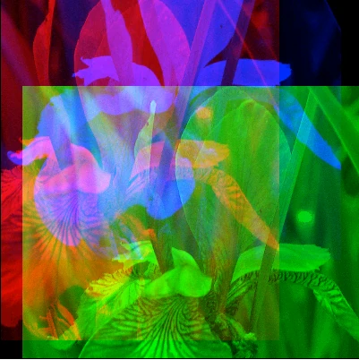 Screen capture image of the demo canvas