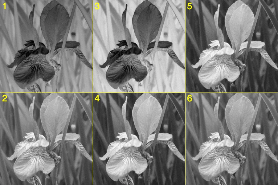 Screen capture image of the demo canvas