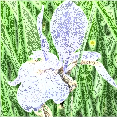 Screen capture image of the demo canvas