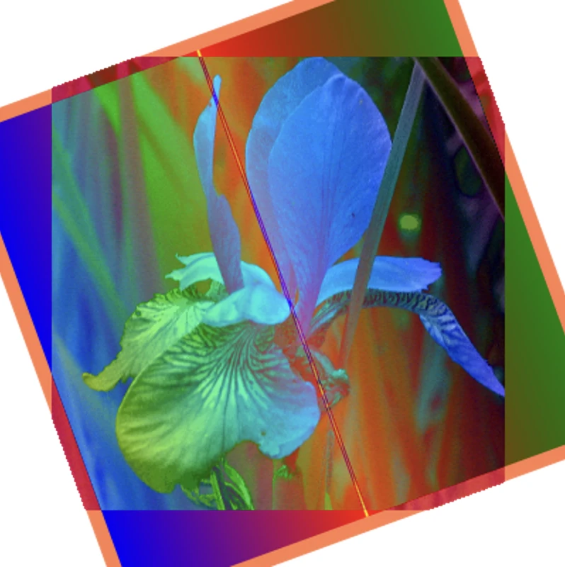 Screen capture image of the demo canvas