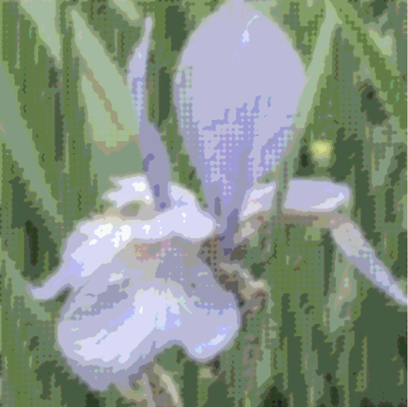 Screen capture image of the filtered canvas