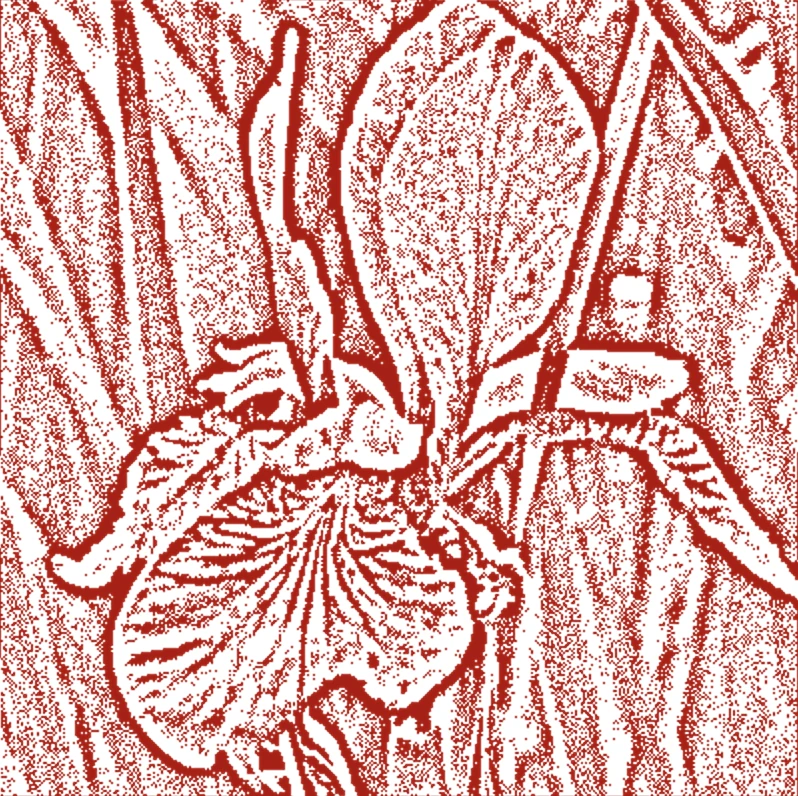 Screen capture image of the filtered canvas