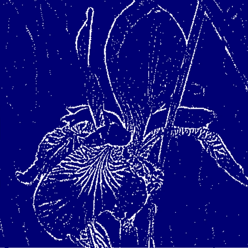 Screen capture image of the filtered canvas