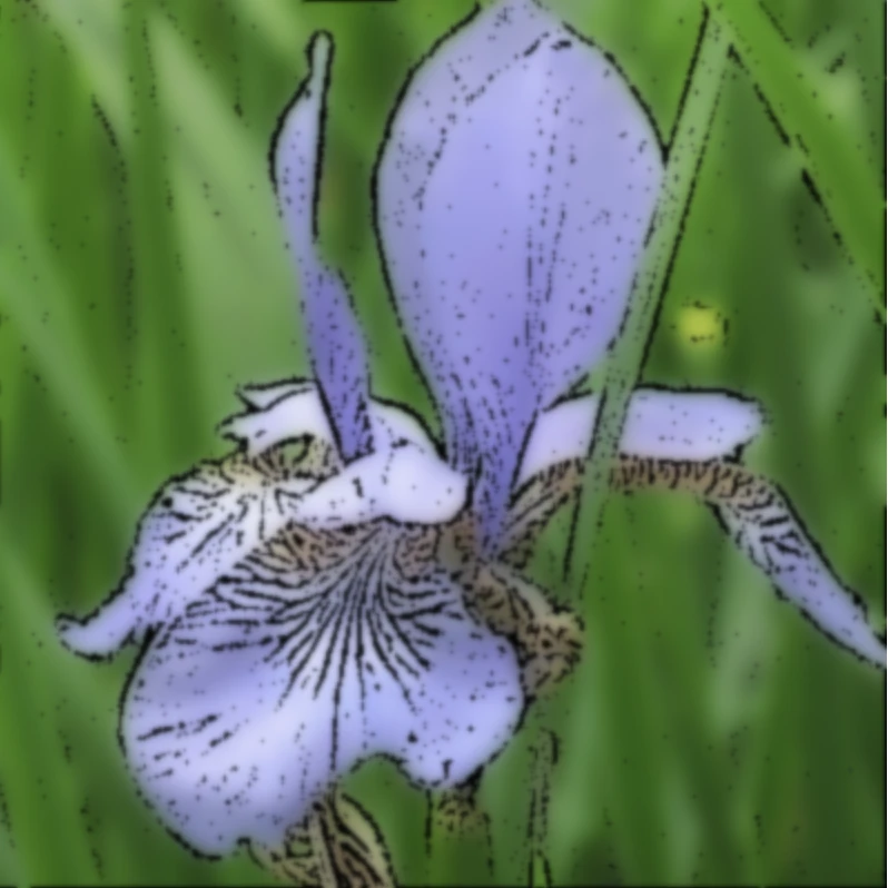 Screen capture image of the filtered canvas