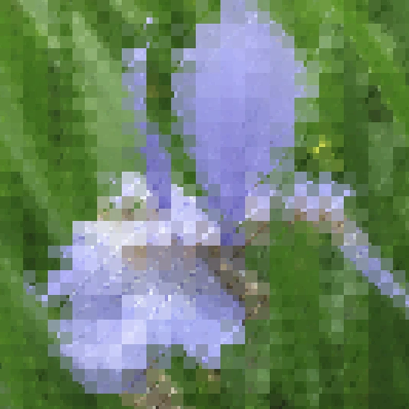 Screen capture image of the filtered canvas