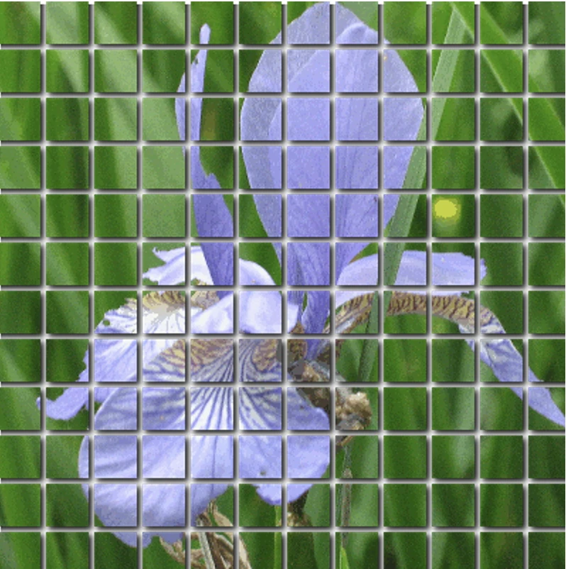 Screen capture image of the filtered canvas