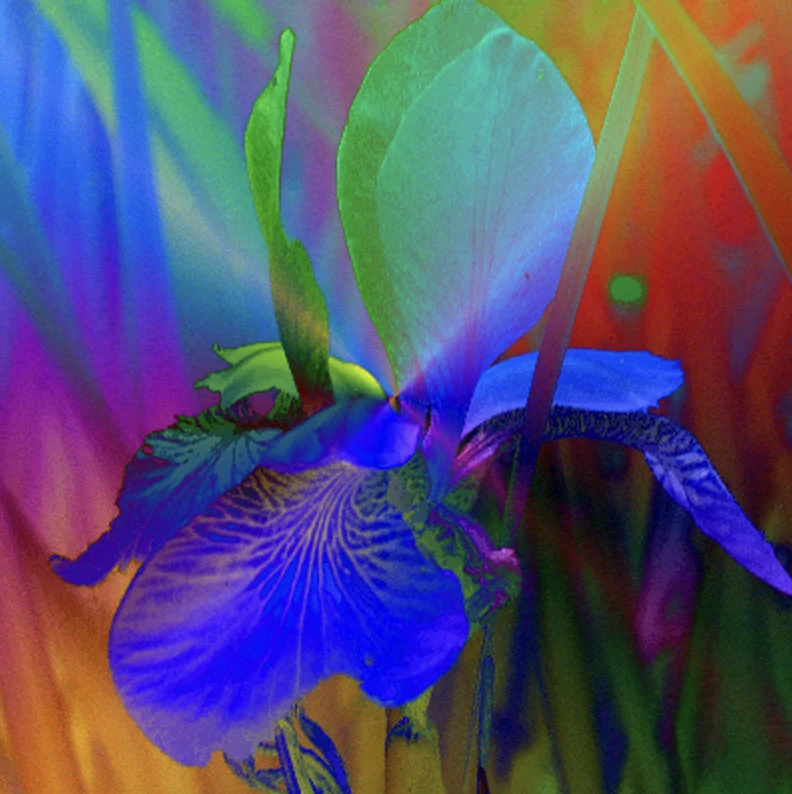 Screen capture image of the filtered canvas