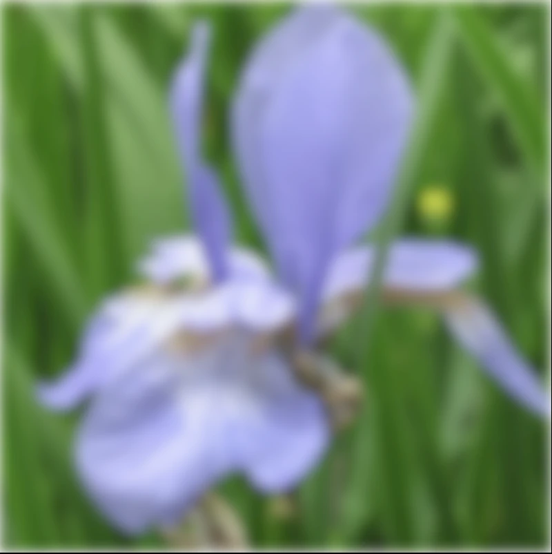 Screen capture image of the demo canvas