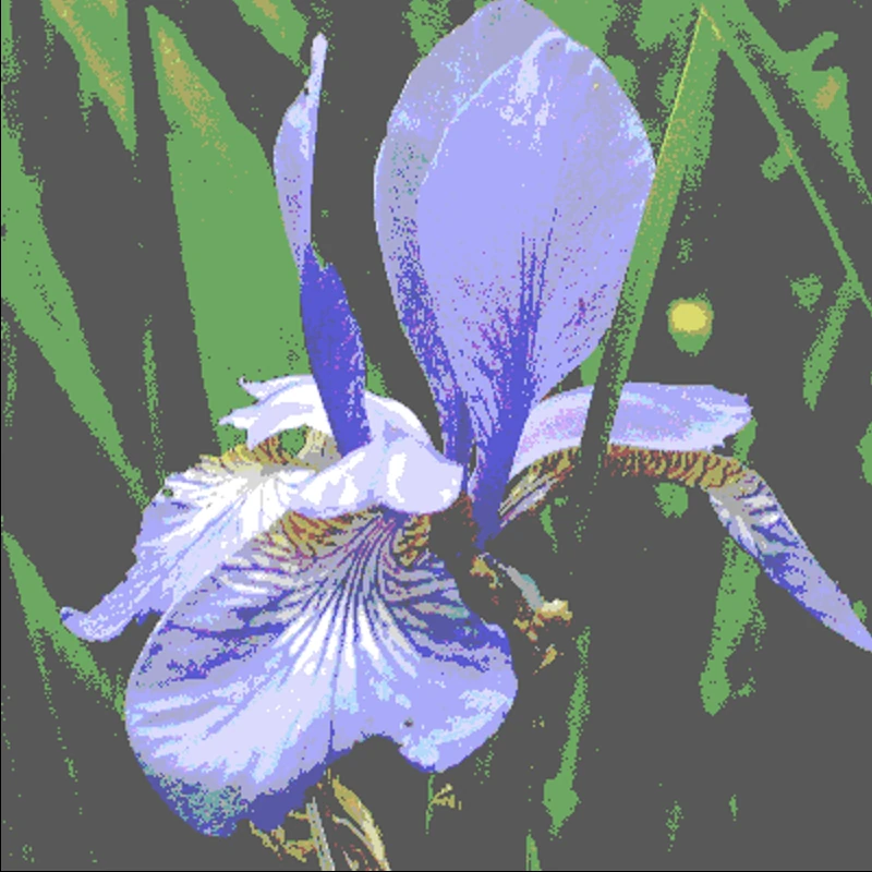 Screen capture image of the demo canvas